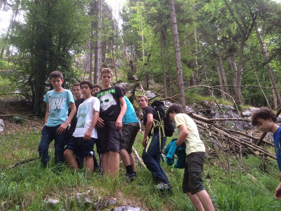 Projektbild